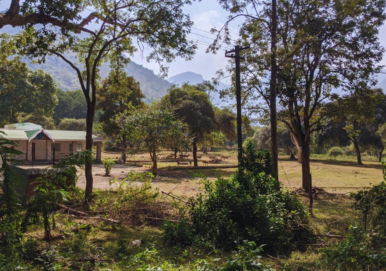 Wild Pastures By Nature Resorts And Stays Masinagudi Buitenkant foto